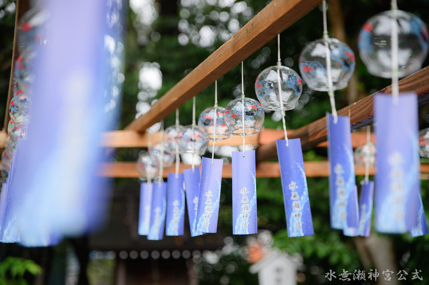 日本文化・伝統文化への貢献